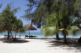 Luxury Tenting Safari in the Serengeti with Zanzibar Extension